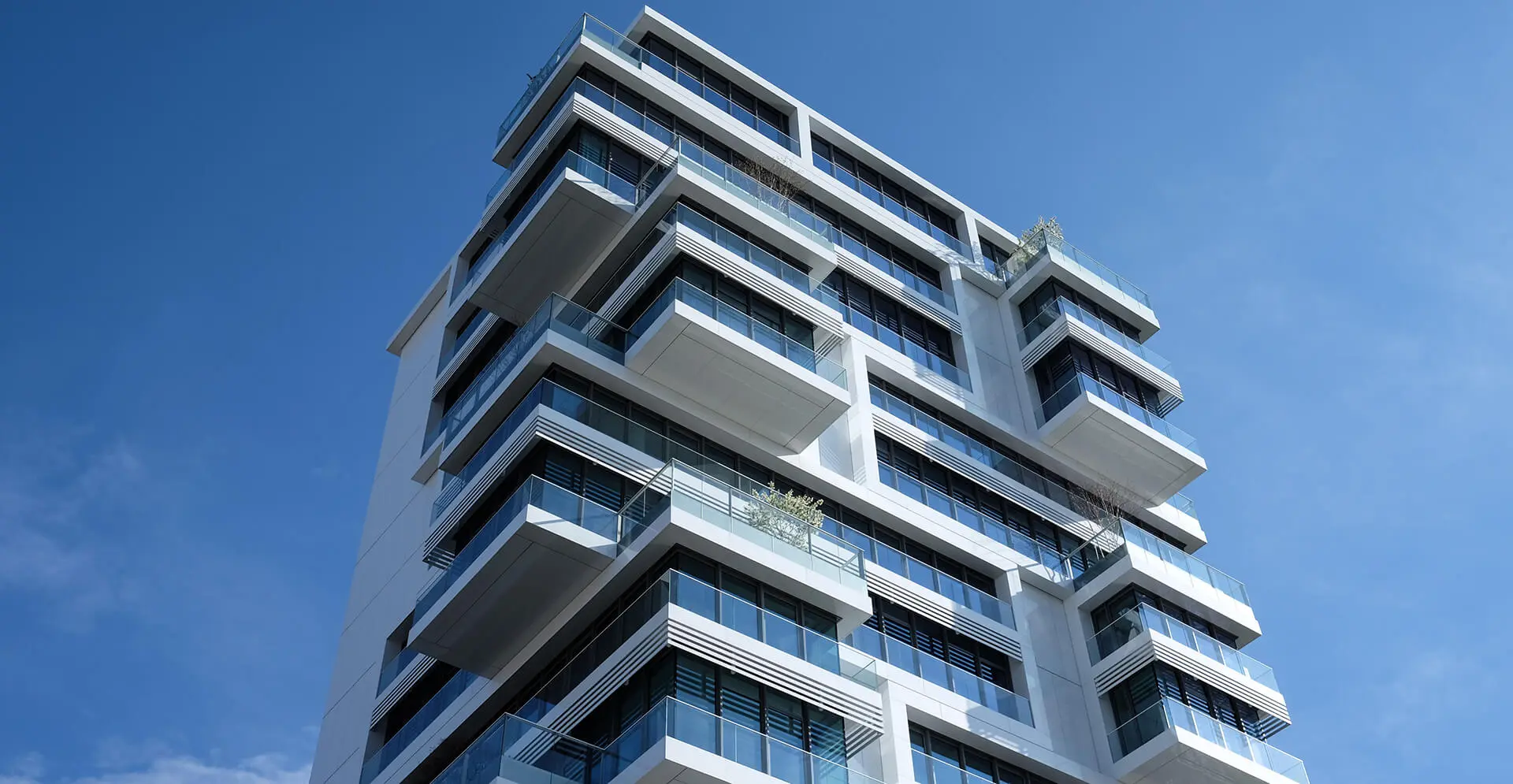 صورة الاسشتارة